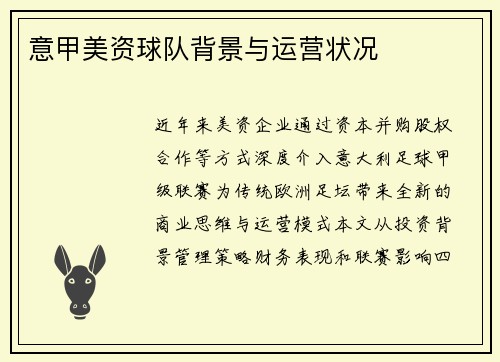 意甲美资球队背景与运营状况
